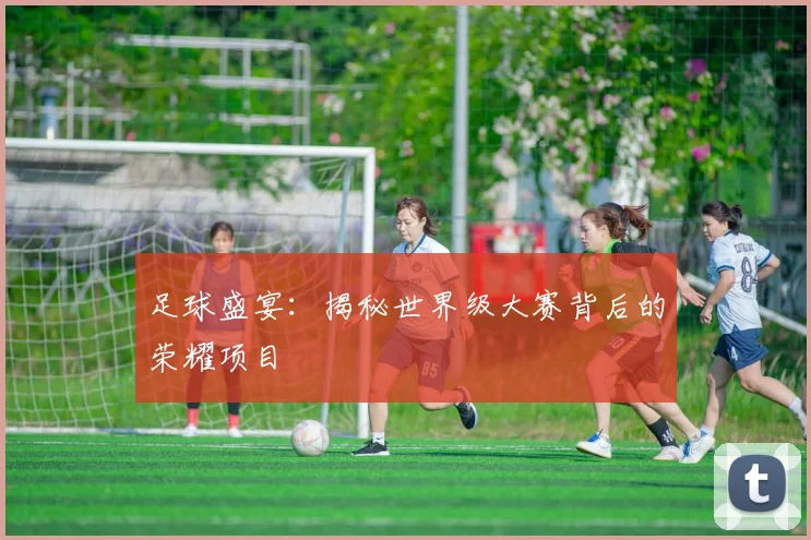 足球盛宴：揭秘世界级大赛背后的荣耀项目